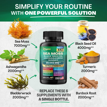 Vitality Boost Duo: Sea Moss 16-in-1 Magic Moss 120 Caps & Shilajit Power ShilaStrength Blend 60 Caps- Energize Your Life!